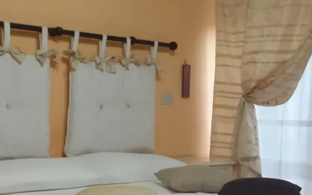 la terra degli ulivi