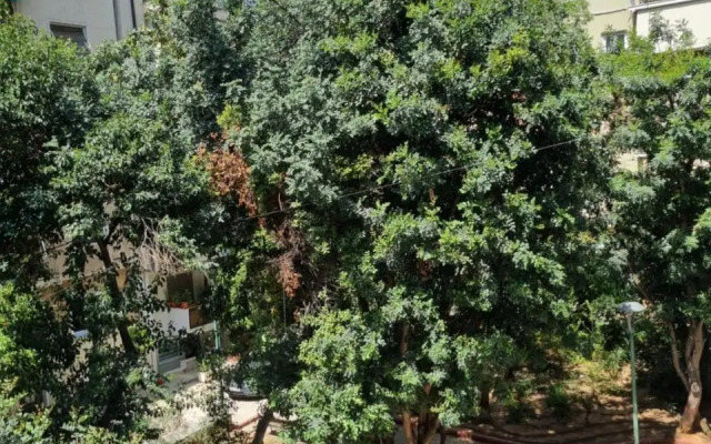 Park view apartment near Panormou
