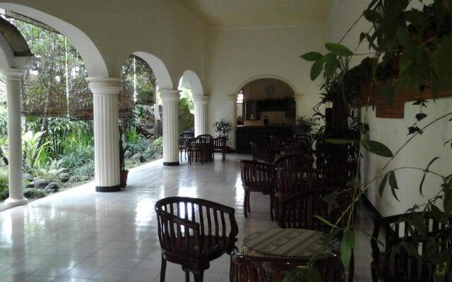 Hotel Palm