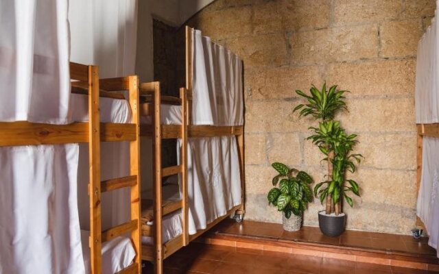 Ashavana Nest Hostel