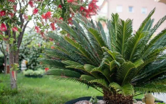 Apartmani Marica Beg