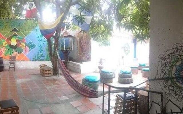 Casa Tropicalia - Hostel