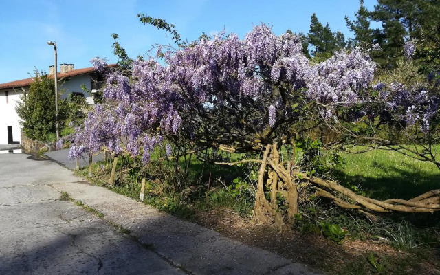 Casa Rural Miamendi