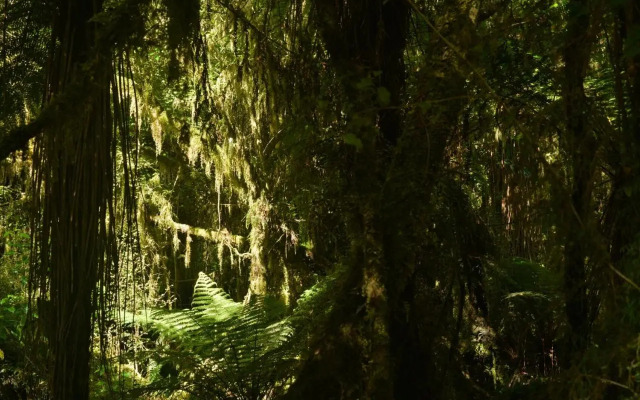 Wilderness Backpackers