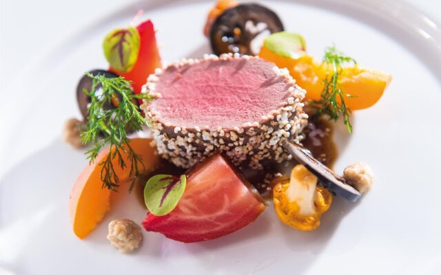 aja Bergresort Werfenweng