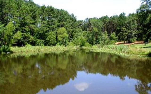 Pine Creek Country Inn