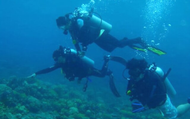 New Heaven Dive n Pension