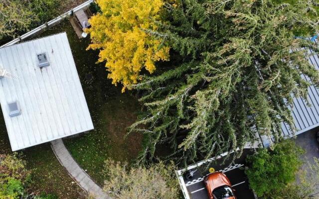 Classic Driver Home 1