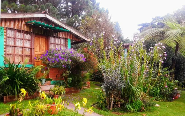 Cabanas Ave Maria