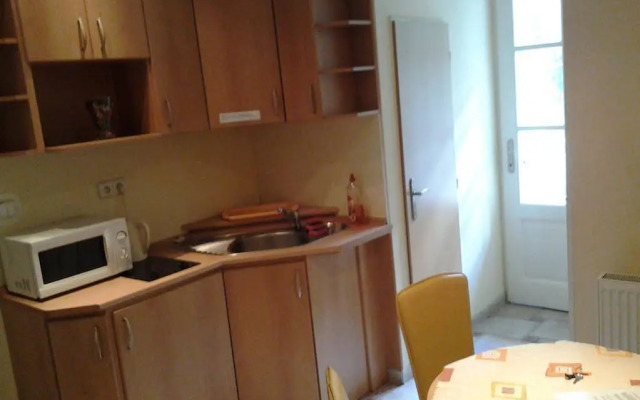 Apartments Blue Danube