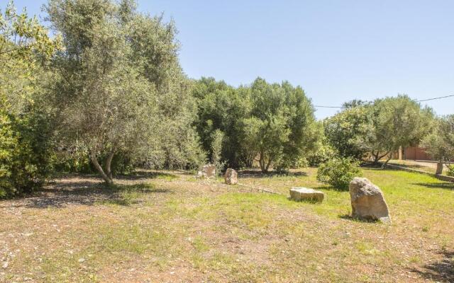 Finca Sa Plana