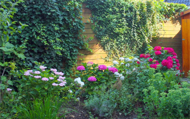 Xaviera's Bed and Breakfast