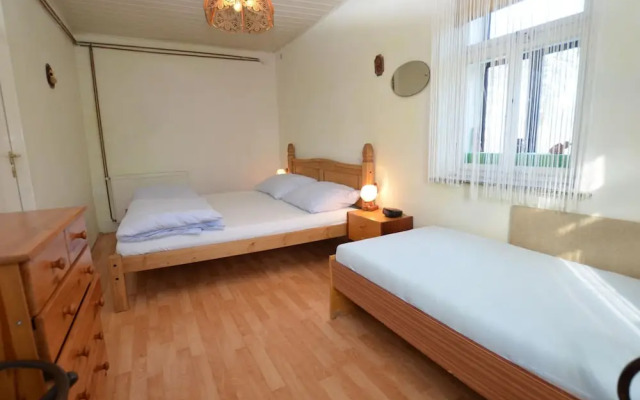 Luxury Villa near Forest in Hlavice Czech Republic