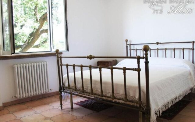 B&B Alce