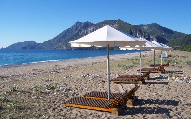 Arcadia Beach
