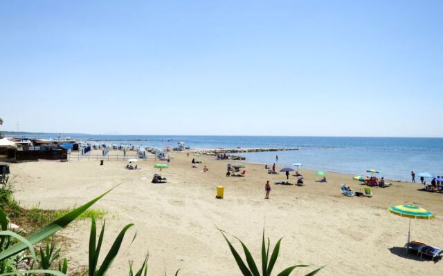 Gli Oleandri (NET105)