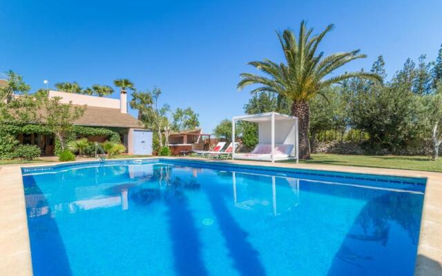 Can Picafort - 232562