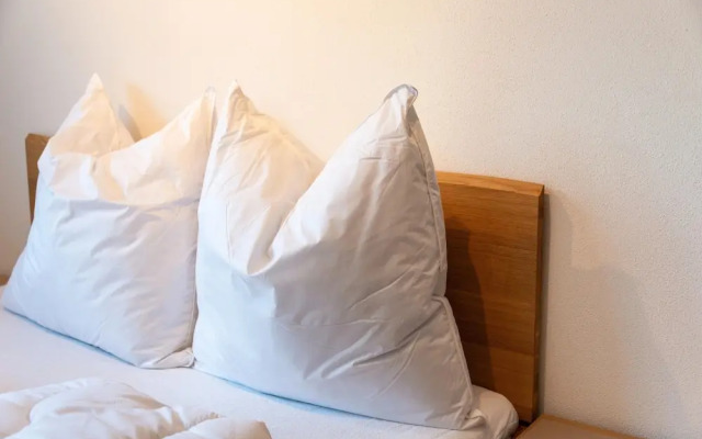 Spacious Holiday Apartment Near Kitzbuhel