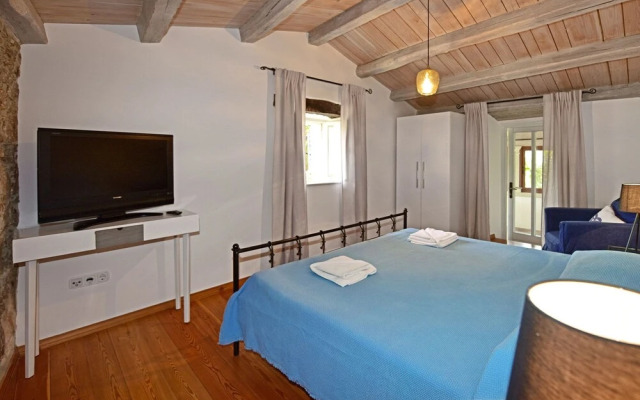 Hibiskus Tadini in Tadini