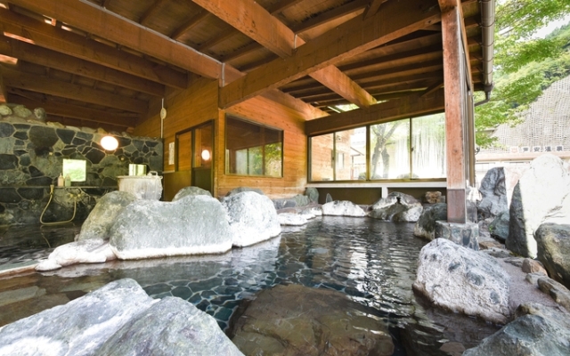 Ashiyasu Onsen Iwazonokan