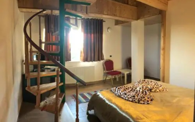 Shkreli Hotel Camp