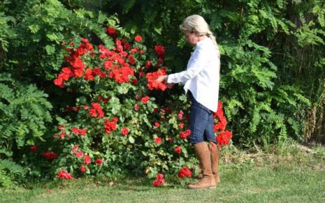 Agriturismo Biologico SS. Annunziata II