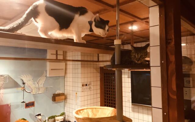 Cat Spa & Cat Ryokan by Neco Republic Osaka