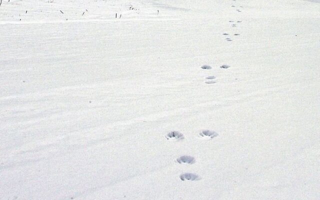 Santa Land Shirakami