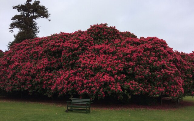 Baytree Bed and Breakfast