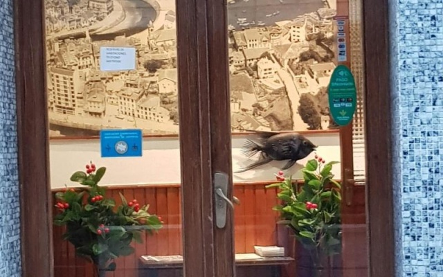Pensión Oria
