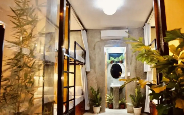 Hangover Hostel