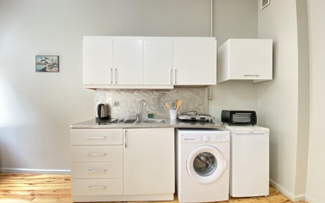 Flat With Balcony Near Flower Passage in Beyoglu