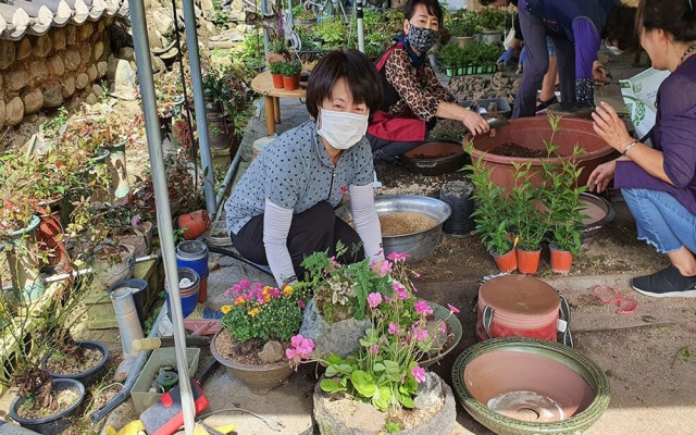 Chungju Wildflowers and Gotaengnadeuri