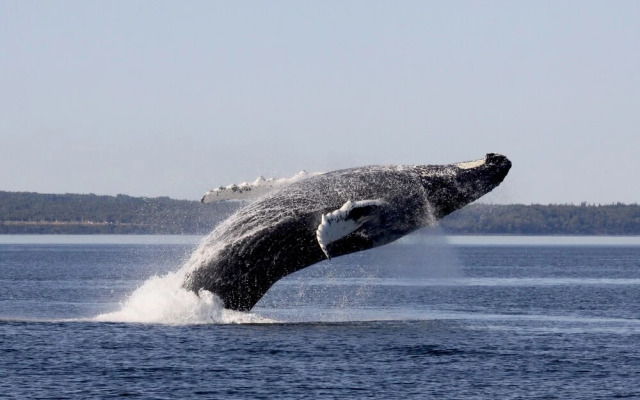 Auberge La Merveilleuse