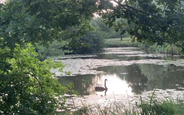 Wensum Glamping