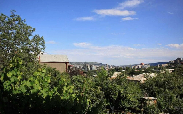 Guest House on Gorgasali Street