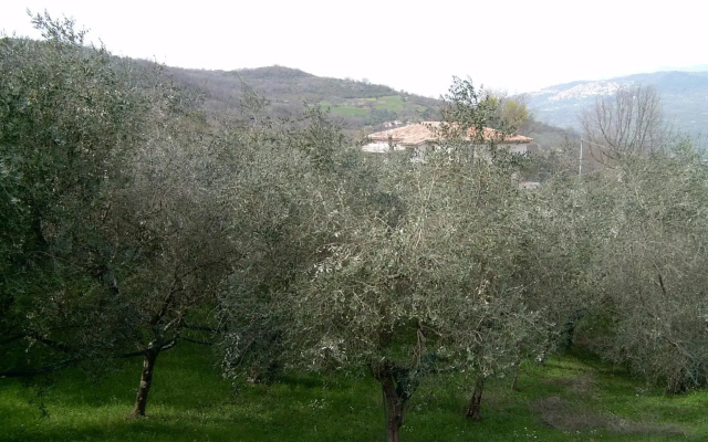 Agriturismo le Cammarose