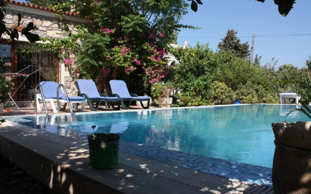 Important Group Villa Citrus