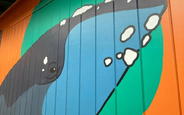 Sun Hostel Guarda do Embaú