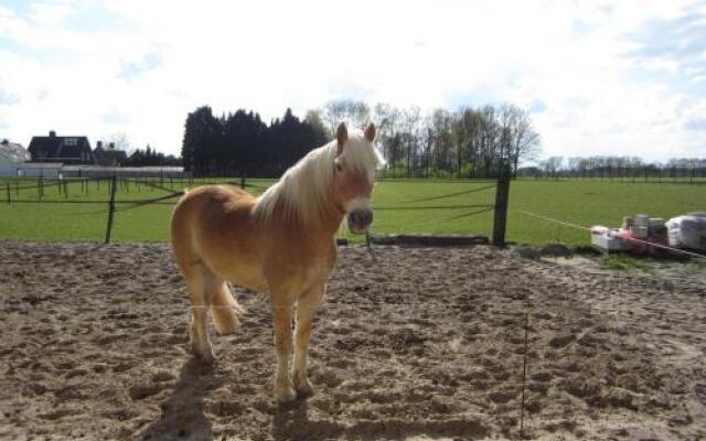 Recreatieboerderij T Schutje