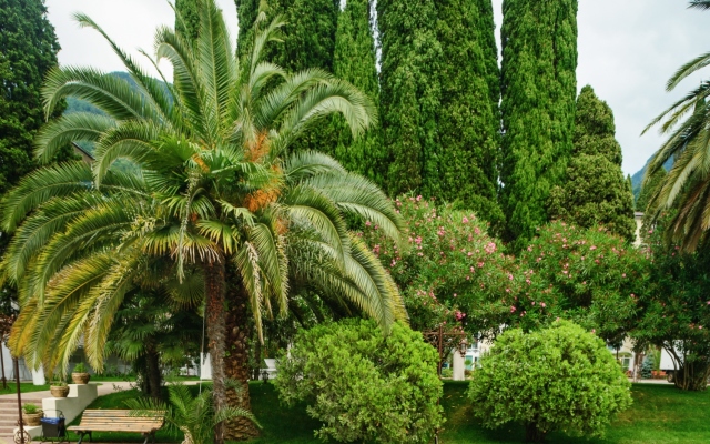Imeni Chelyskintsev Hotel