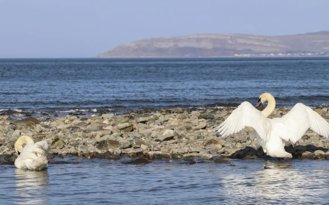 Haddef Penmaenmawr