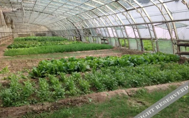 Yiran Ecological Garden