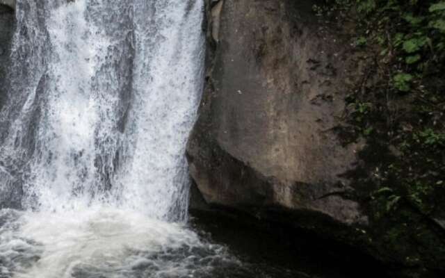 Sana Aluguel Economico