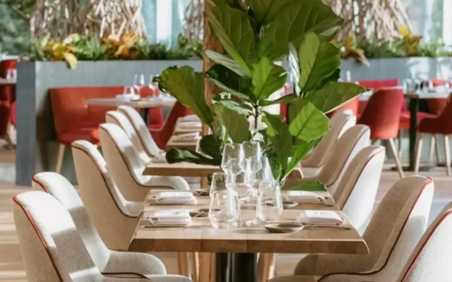 Experience Bliss at Blue Lodge-belvilla