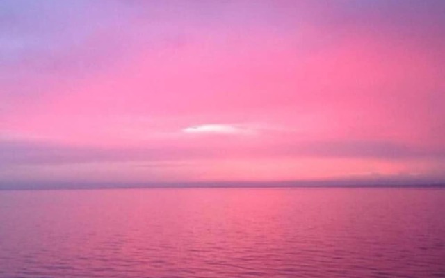 Garden Apartment On The Beach