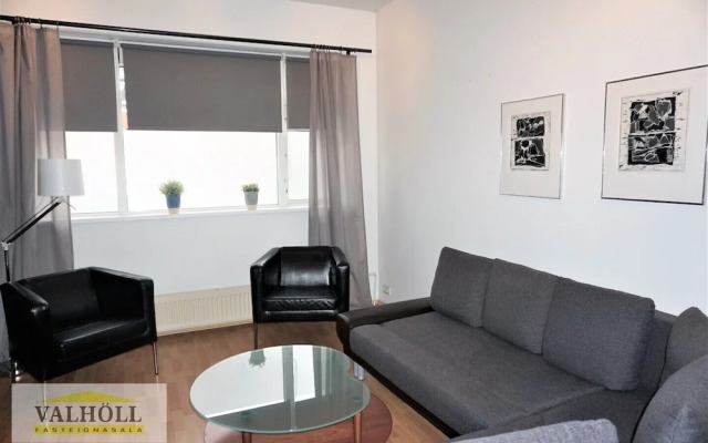 Reykjavik Center Condos