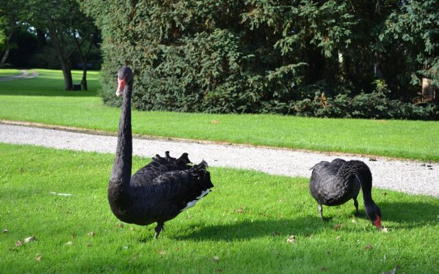 B&B Landgoed Matanze