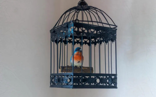 Holiday Homr in Marquise With Garden