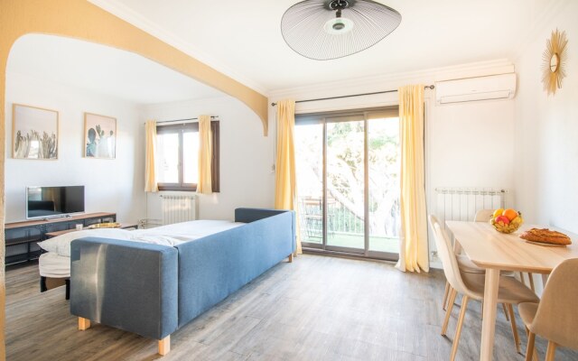 Appart Les Palmiers T3 3 Terrasse Dans Les Pins
